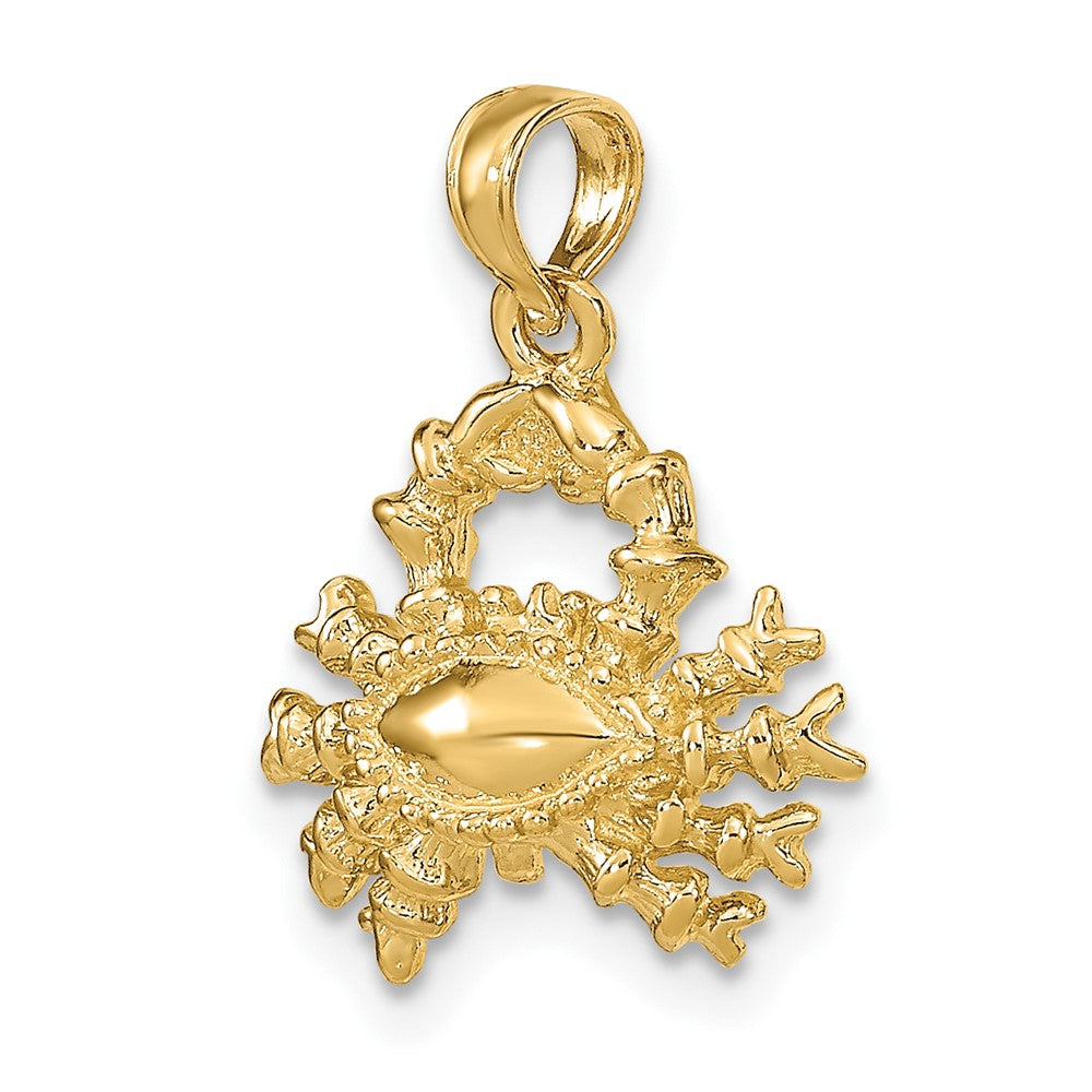 10K Yellow Gold 10K 3-D Cancer Zodiac Pendant