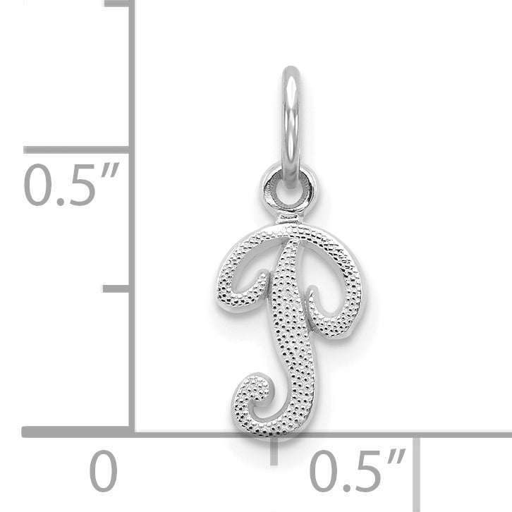 10K White Gold 10Kw Initial P Charm