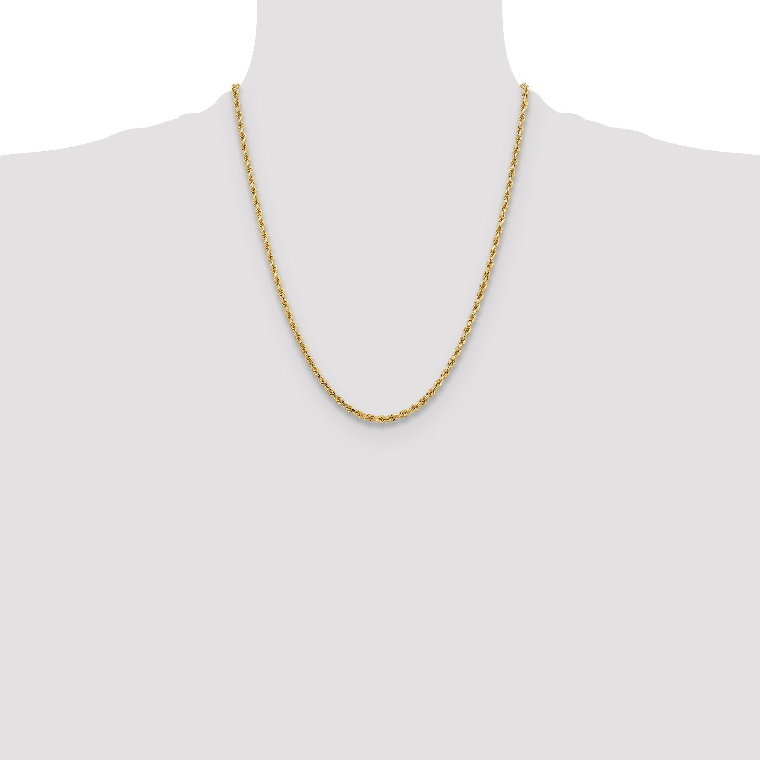 22 Inch 10K Yellow Gold 3.25mm Diamond-Cut Rope Chain Necklace