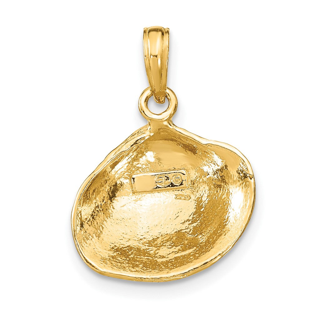 10K Yellow Gold 10K Medium Clam Shell Pendant