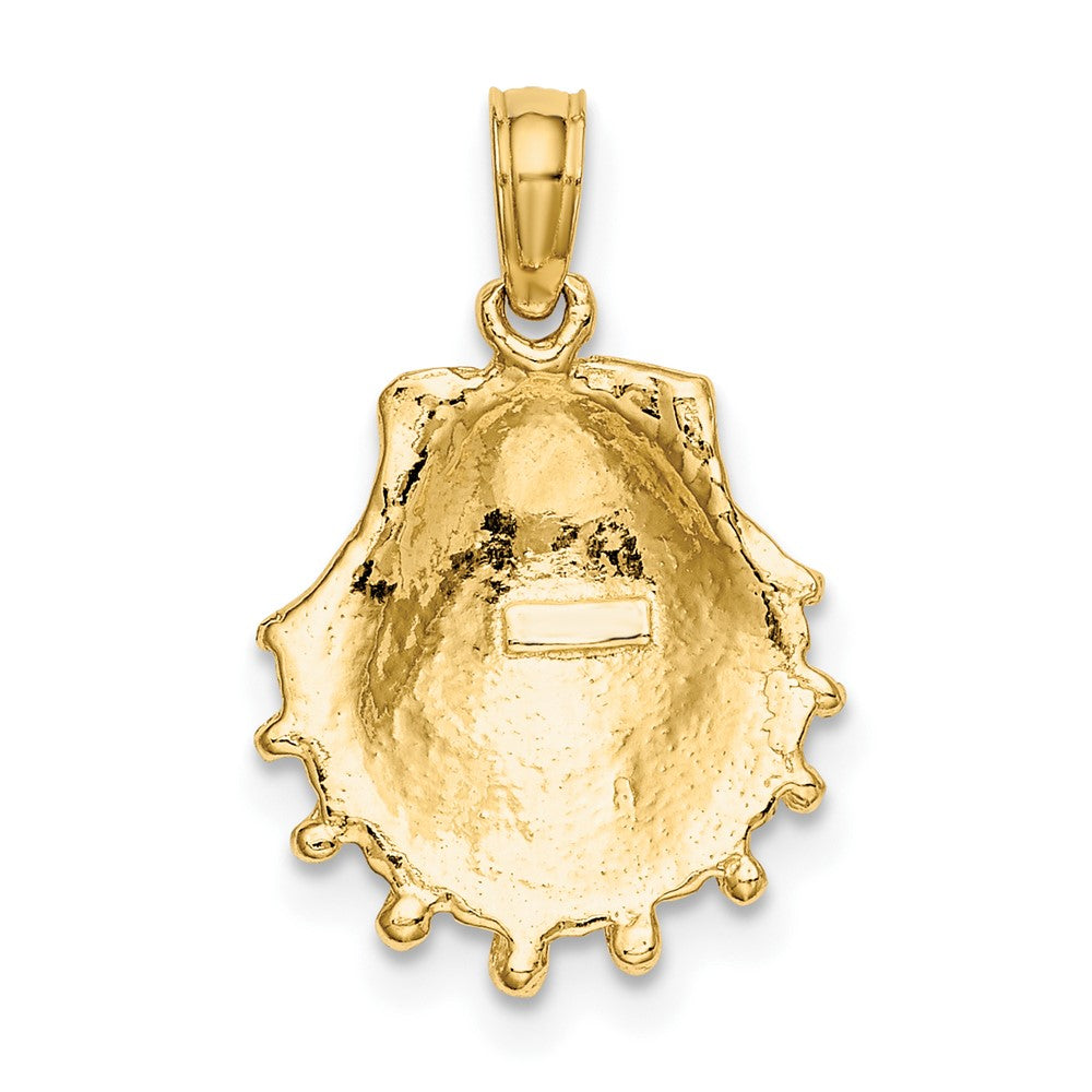 10K Yellow Gold 10K Lion'S Paw Shell Charm