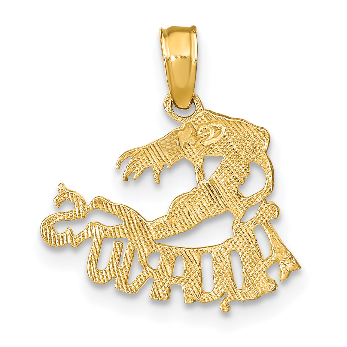10K Yellow Gold 10K Aquarius Zodiac Charm
