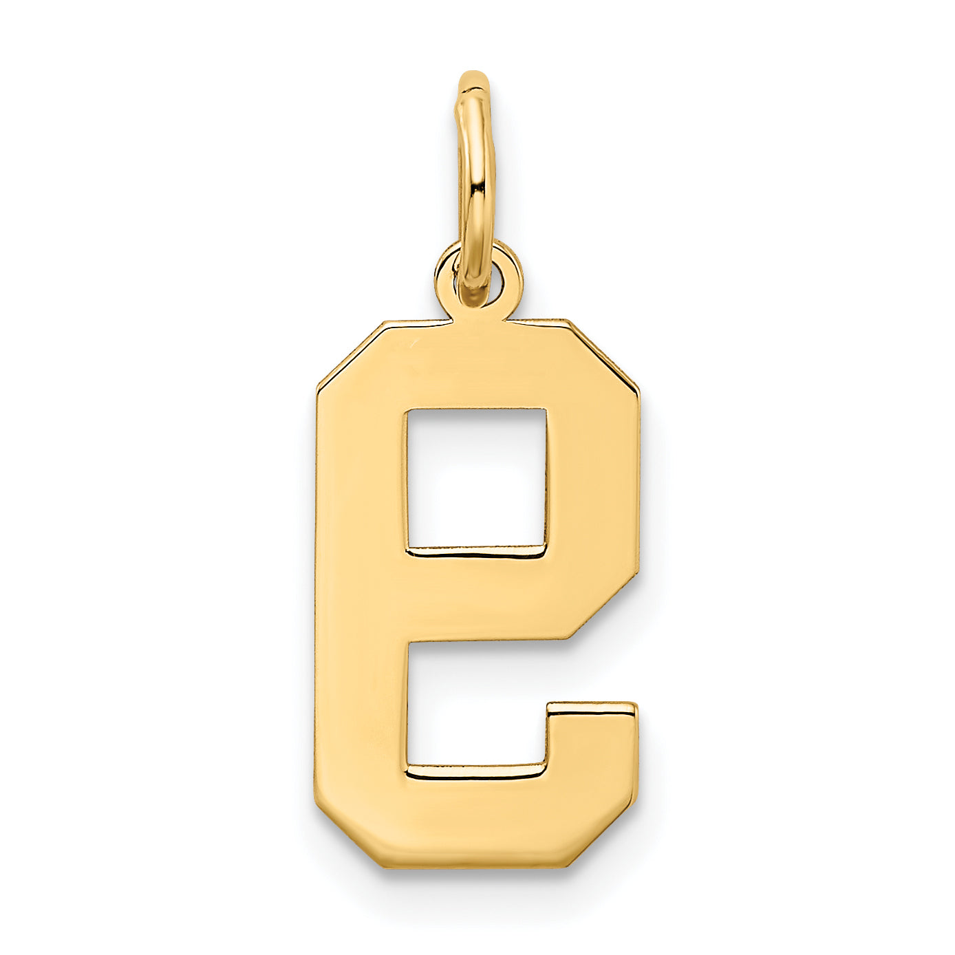10K Yellow Gold Medium Satin Number 9 Charm