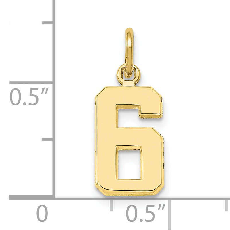10K Yellow Gold Small Polished Number 6 Charm