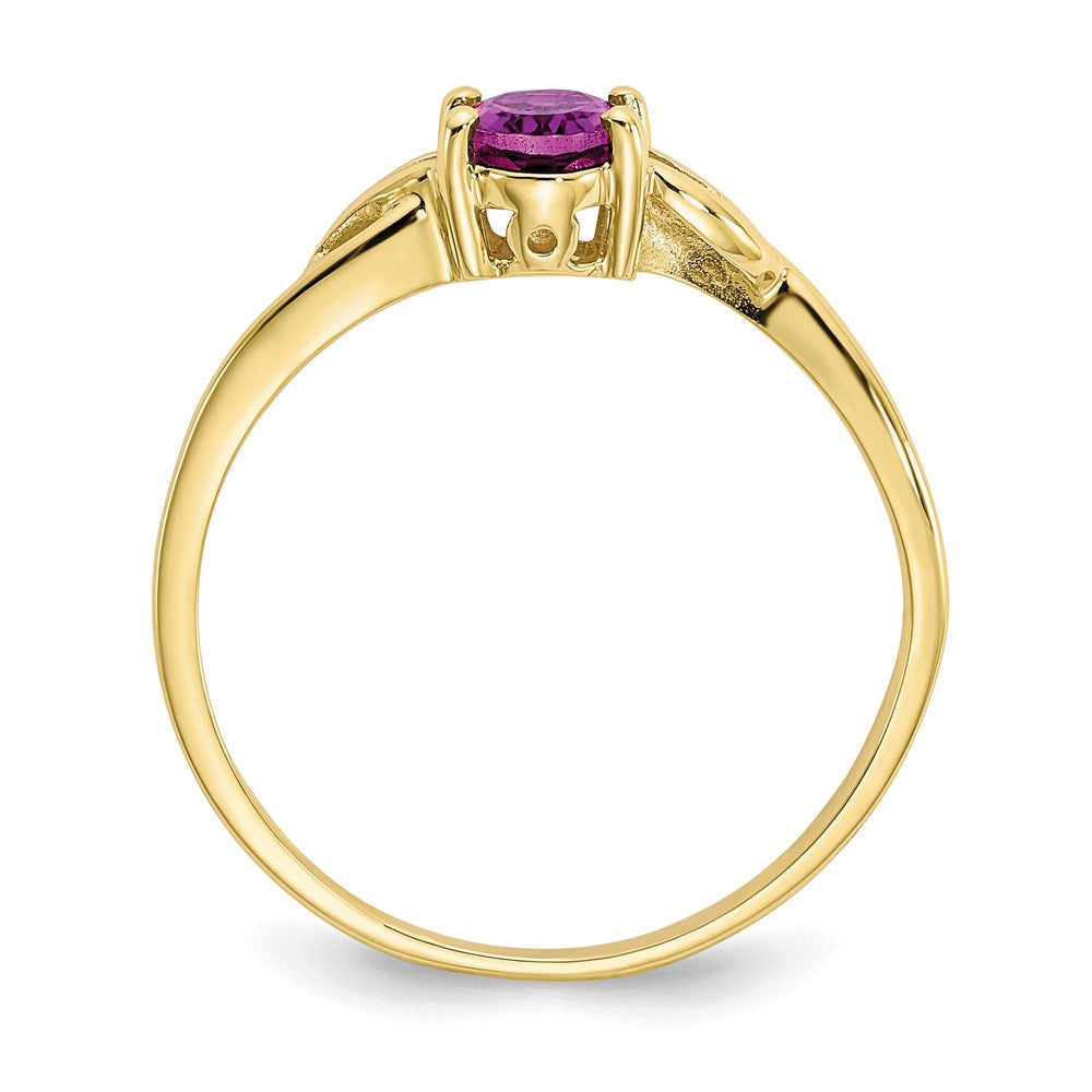 10K Yellow Gold Polished Genuine Rhodolite Garnet Birthstone Ring