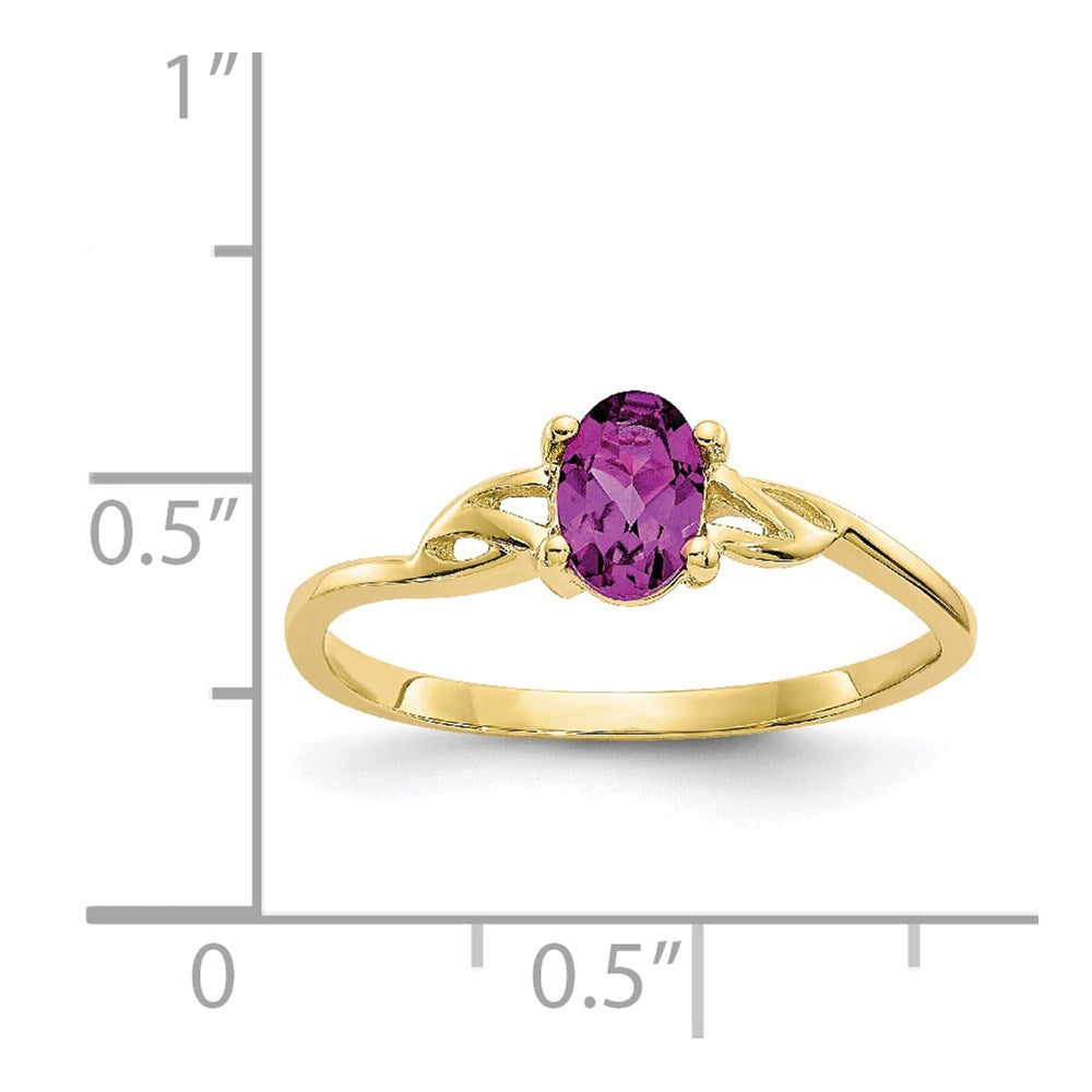 10K Yellow Gold Polished Genuine Rhodolite Garnet Birthstone Ring