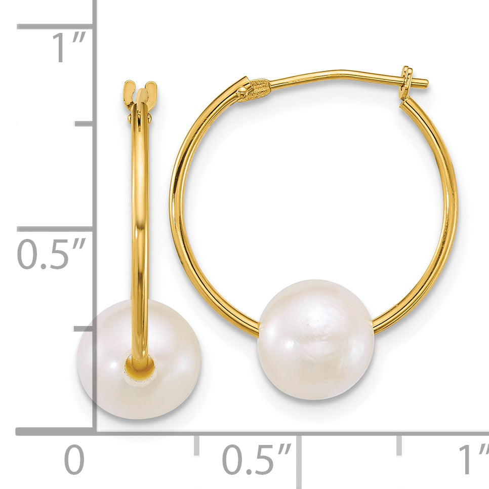 10K Yellow Gold Polished 7-8mm Semi-Round White Freshwater Cultured Pearl Hoop Earrings