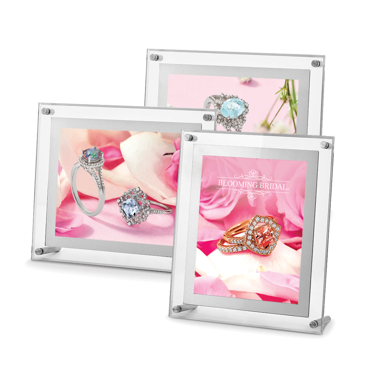Non Metal Blooming Bridal 8X10 Illuminated Sign And 3 Photos For Display
