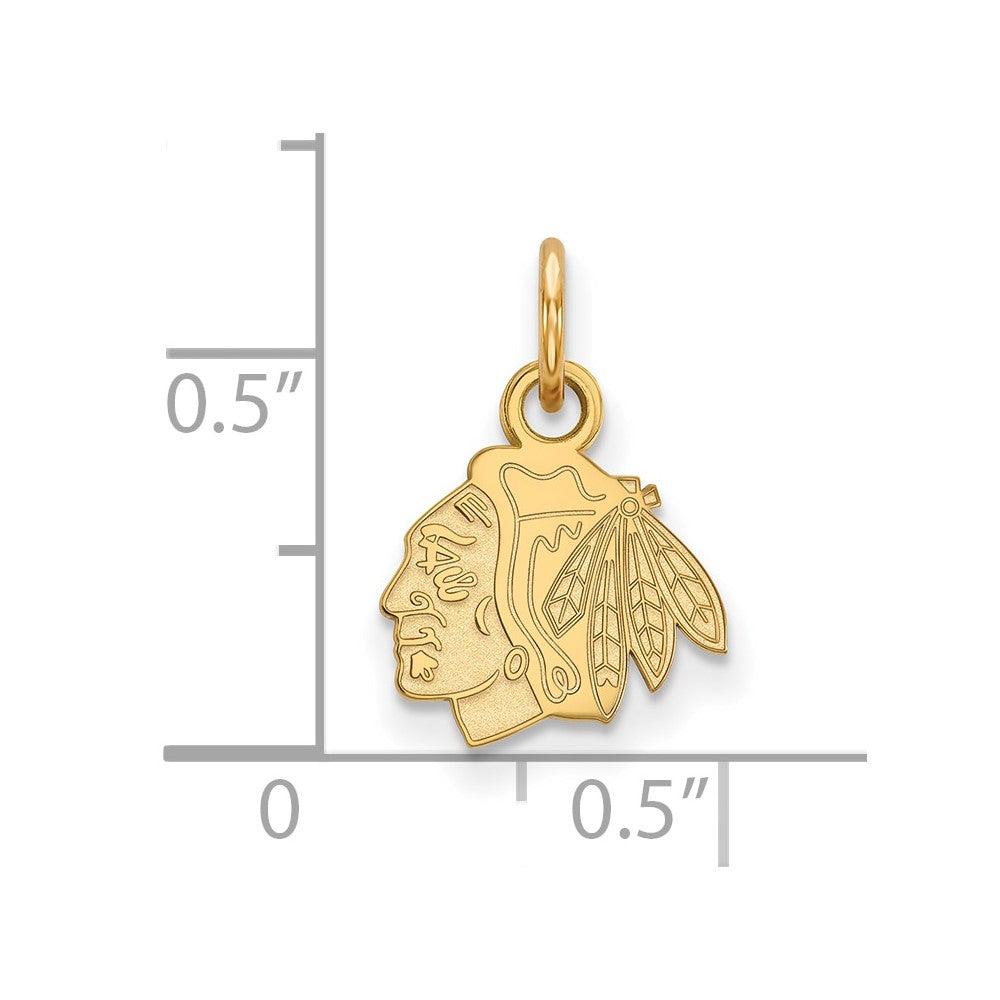 Gold Plated Sterling Silver Nhl Logoart Chicago Blackhawks Extra Small Pendant