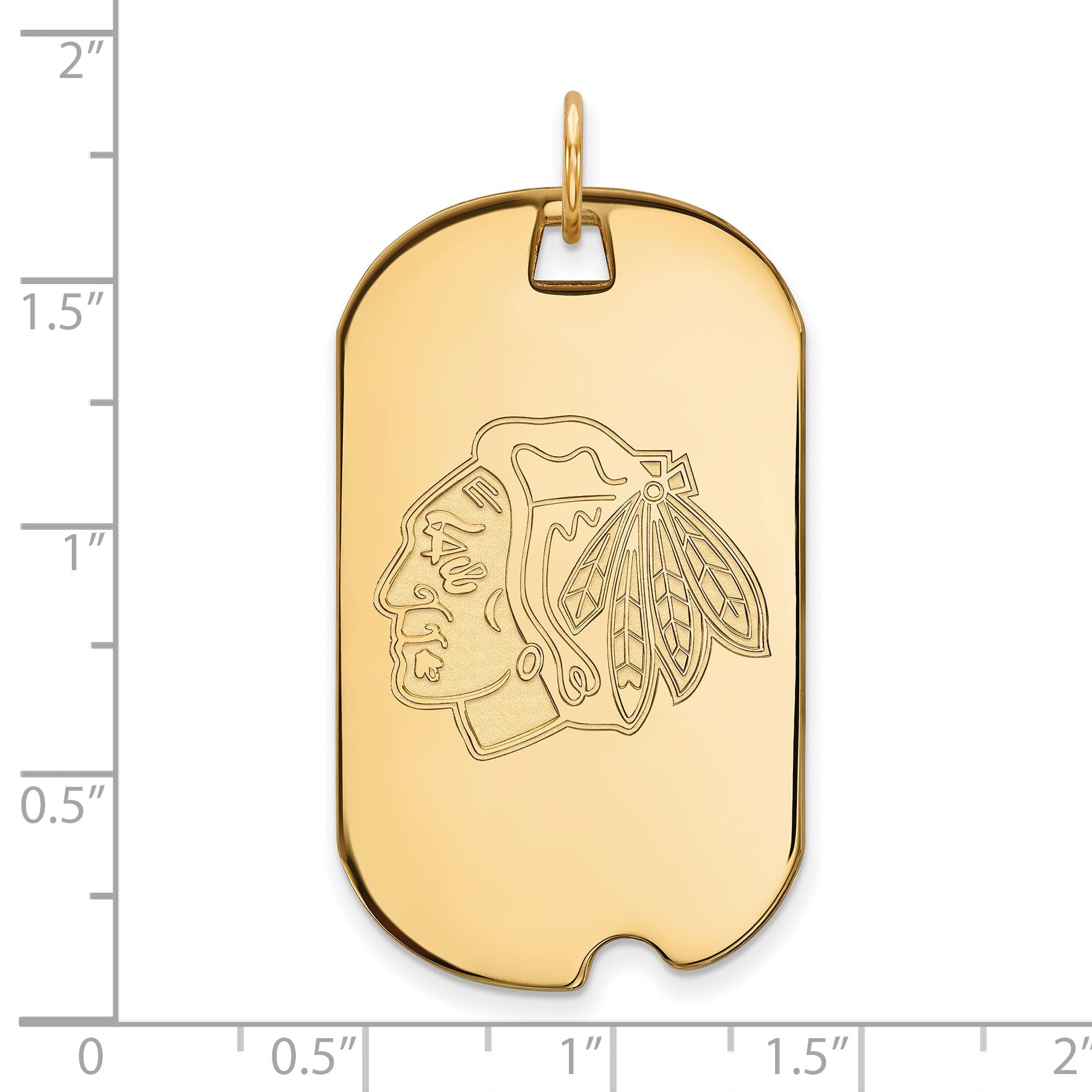Gold Plated Sterling Silver Nhl Logoart Chicago Blackhawks Large Dog Tag Pendant
