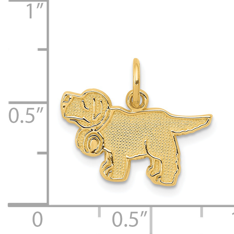 14K Yellow Gold Saint Bernard Charm