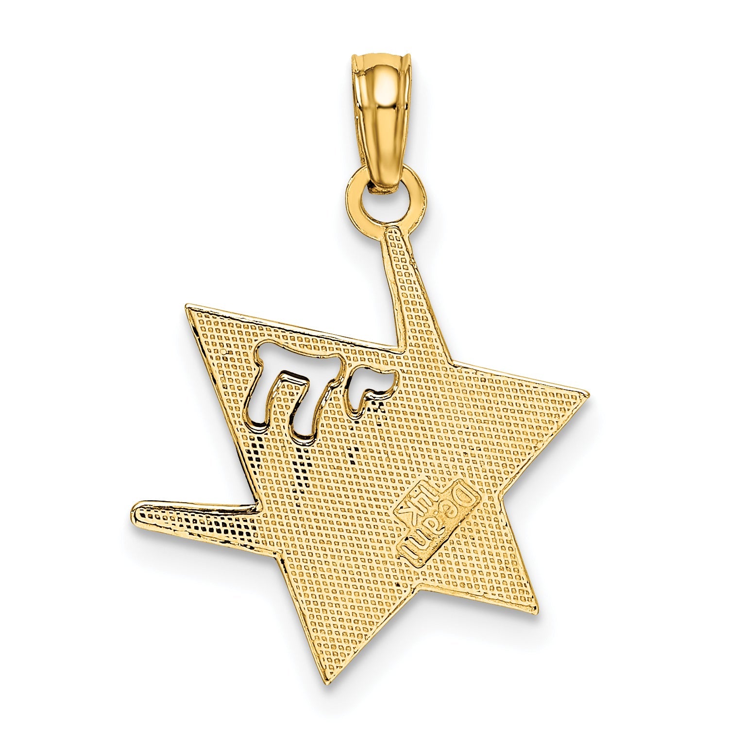 14K Yellow Gold Polished Star Of David W/Chai Charm