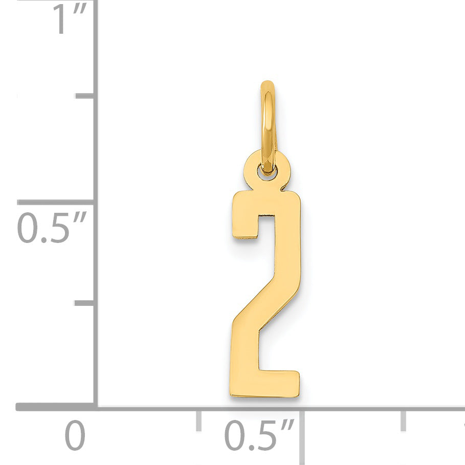 14K Yellow Gold Small Elongated Number 2 Charm