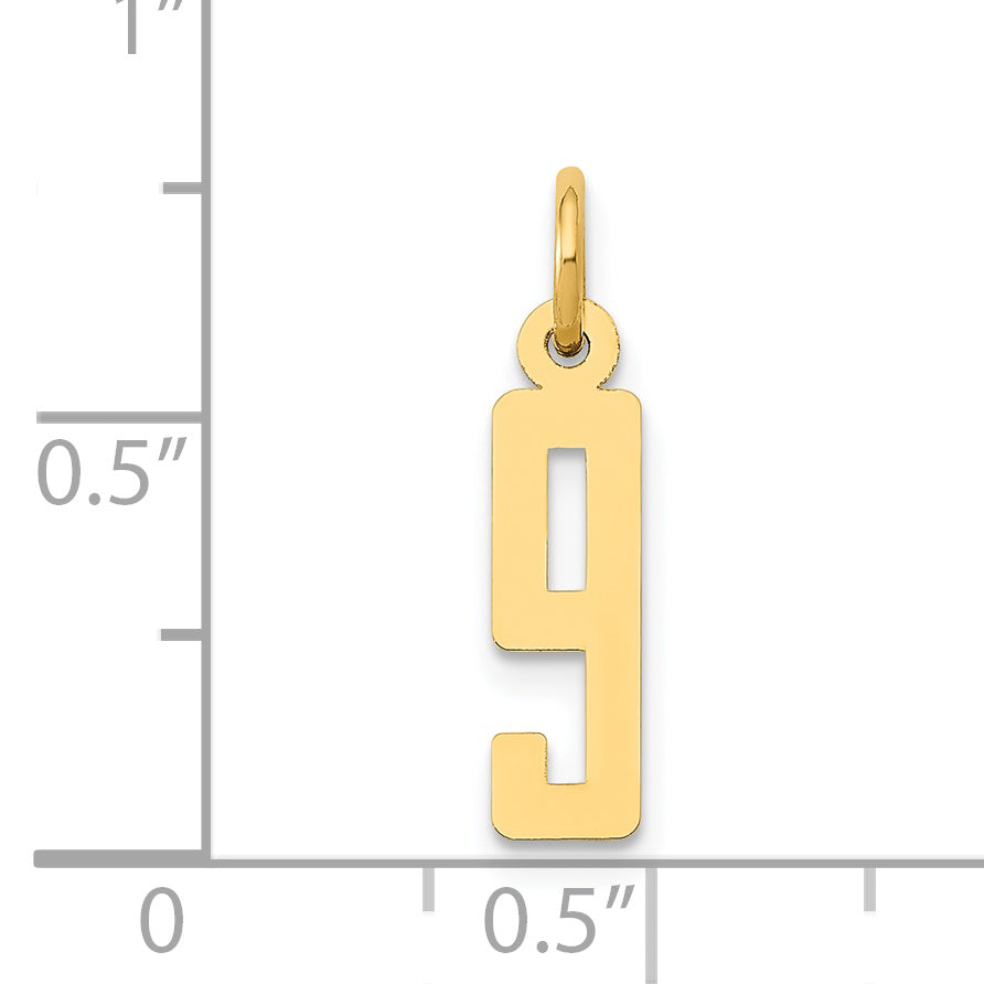 14K Yellow Gold Small Elongated Number 9 Charm