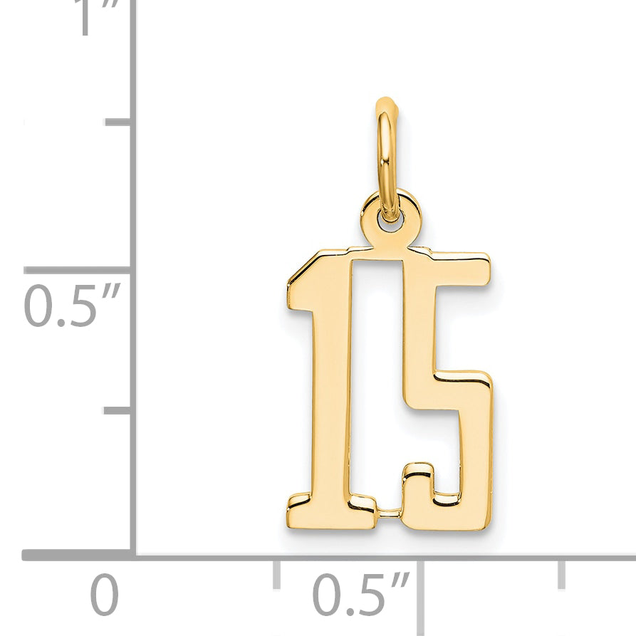 14K Yellow Gold Small Elongated Number 15 Charm
