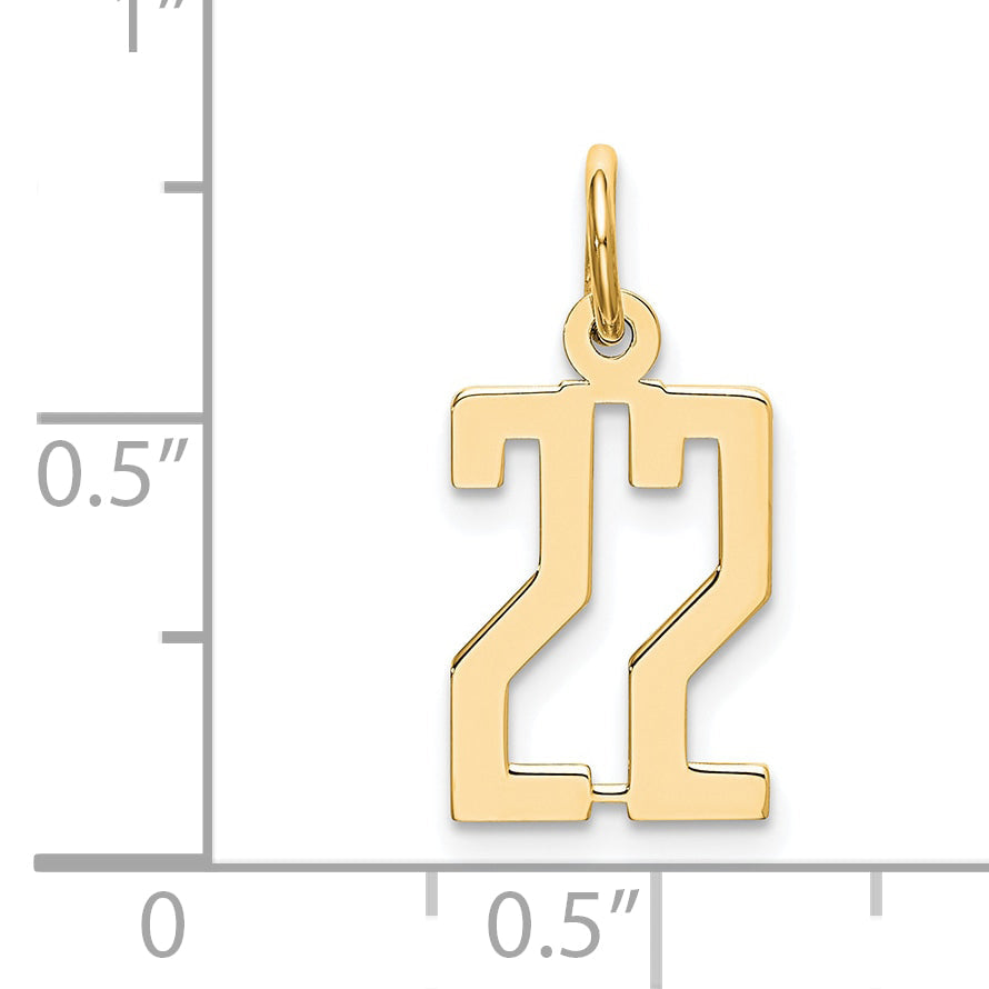 14K Yellow Gold Small Elongated Number 22 Charm