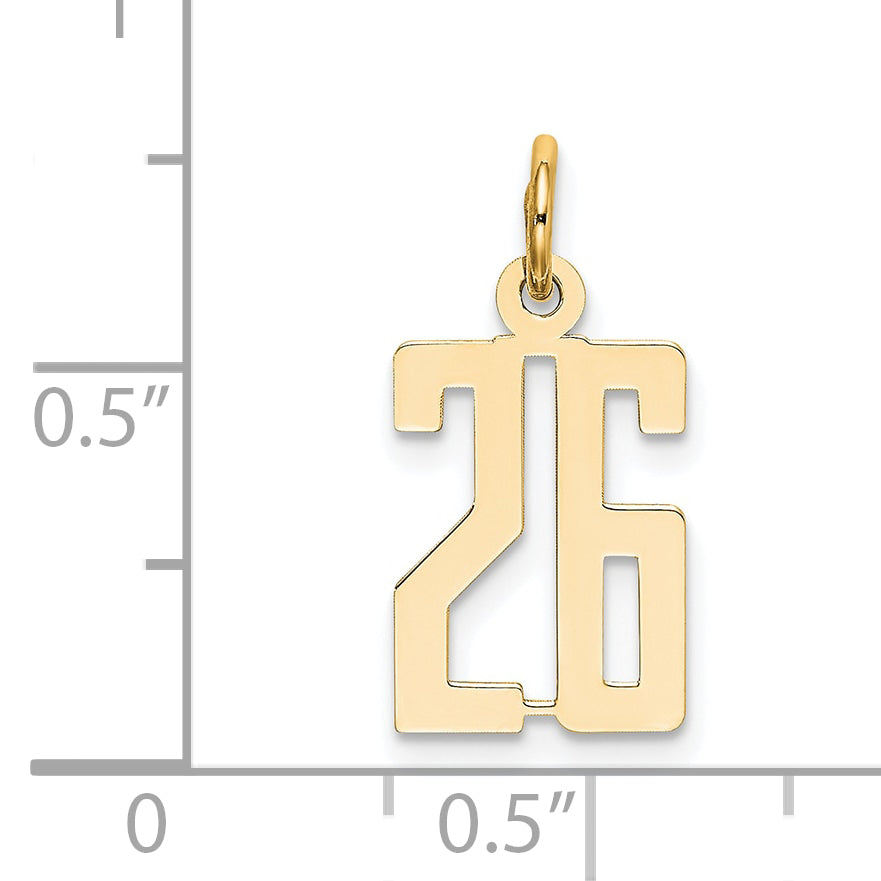 14K Yellow Gold Small Elongated Number 26 Charm