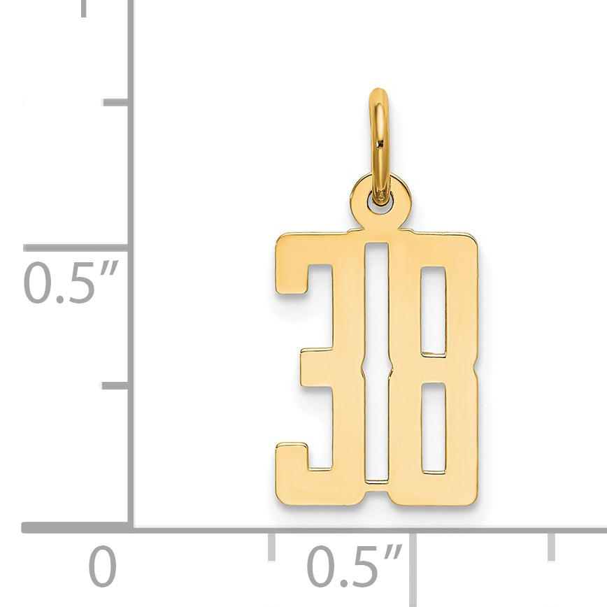 14K Yellow Gold Small Elongated Number 38 Charm