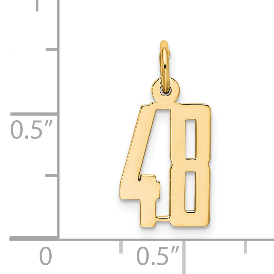14K Yellow Gold Small Elongated Number 48 Charm