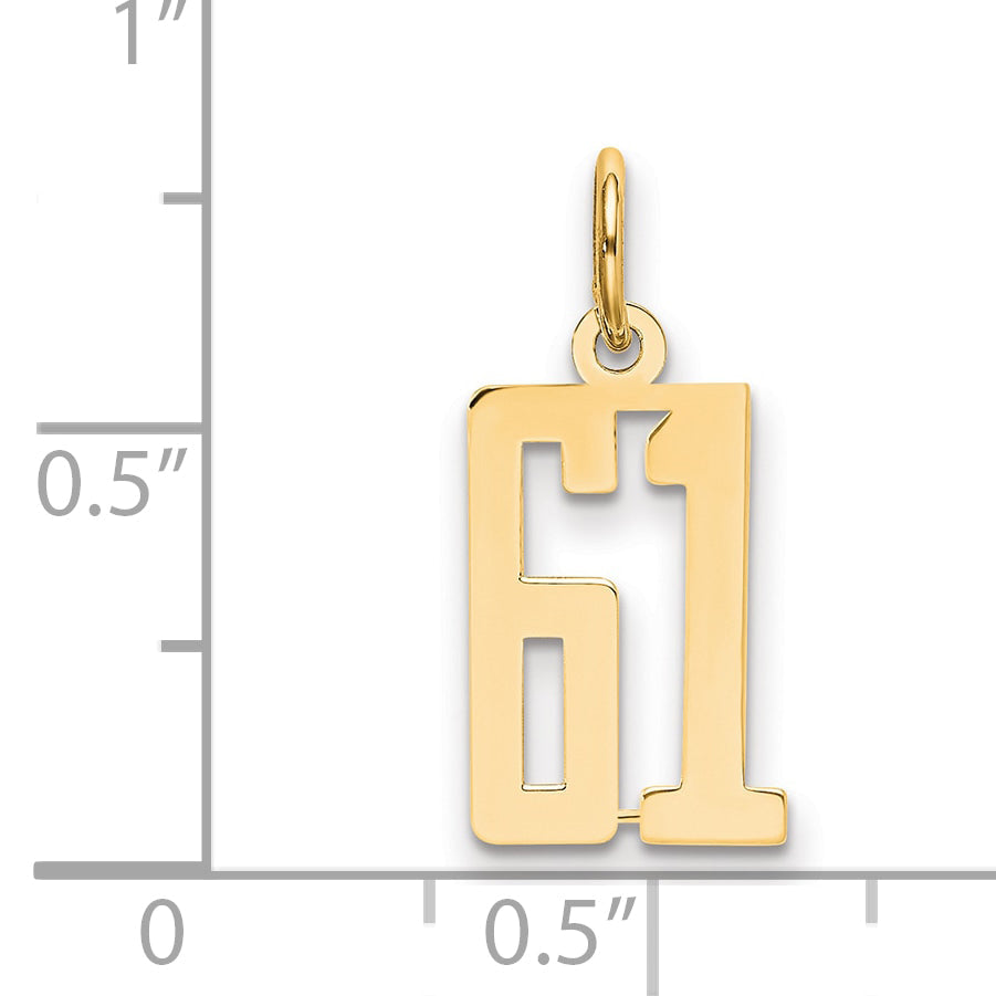 14K Yellow Gold Small Elongated Number 61 Charm