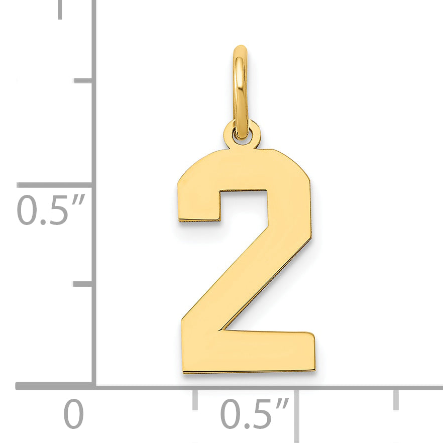 14k Yellow Gold 14k Medium Polished Number 2 Charm