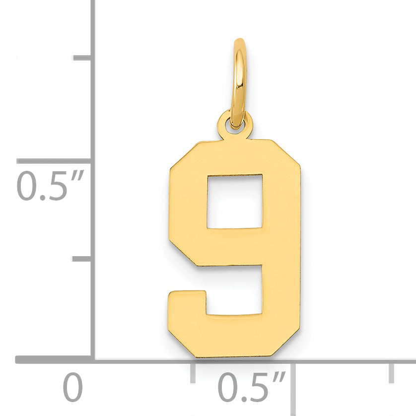14k Yellow Gold 14k Medium Polished Number 9 Charm