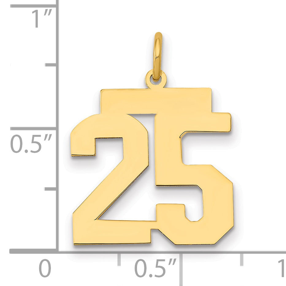 14K Yellow Gold Medium Polished Number 25 Charm