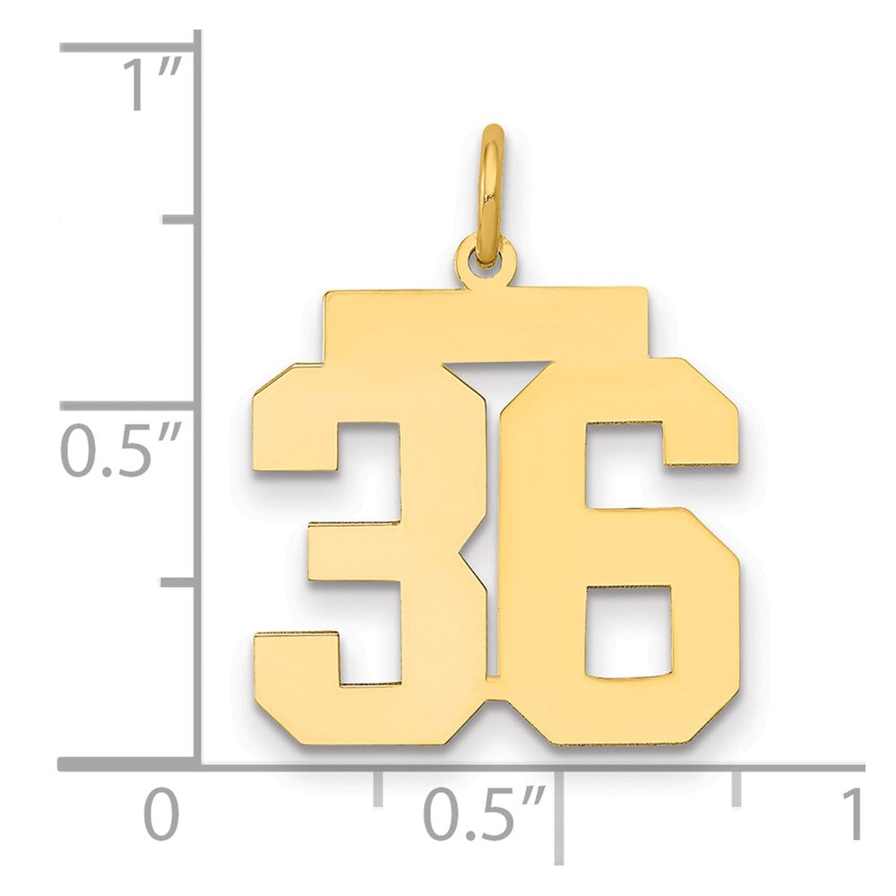 14K Yellow Gold Medium Polished Number 36 Charm