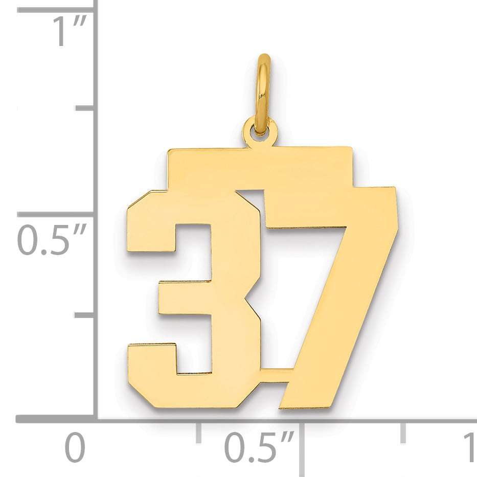 14K Yellow Gold Medium Polished Number 37 Charm