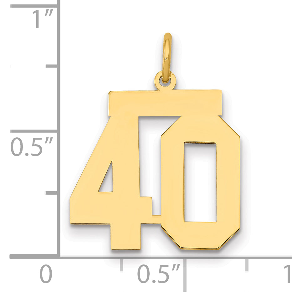 14K Yellow Gold Medium Polished Number 40 Charm