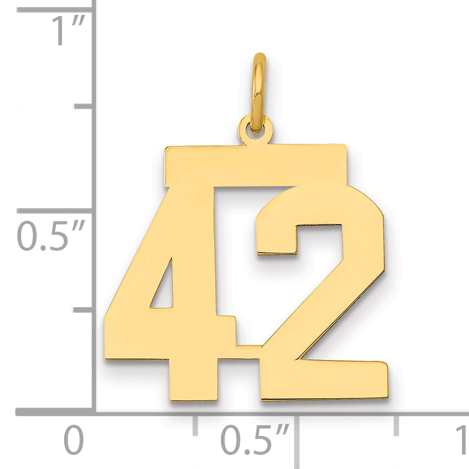 14K Yellow Gold Medium Polished Number 42 Charm