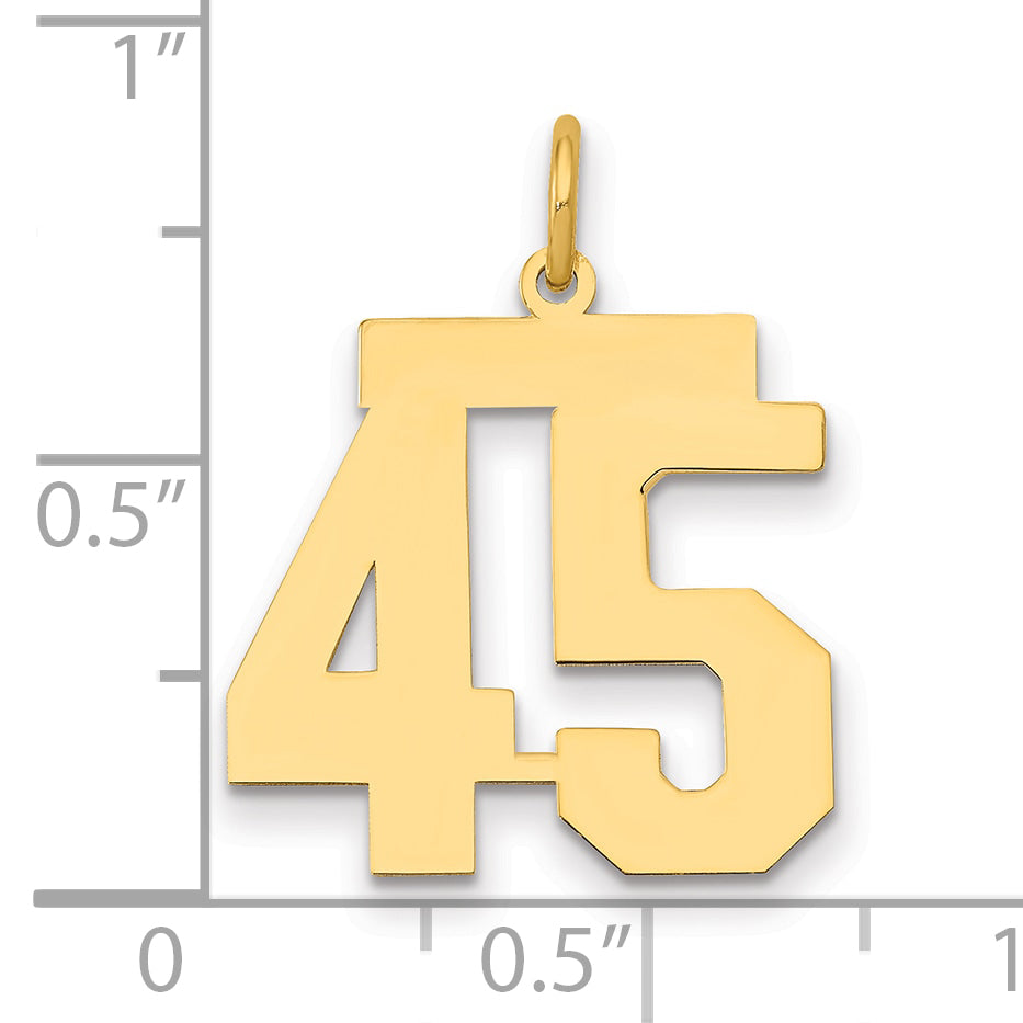 14K Yellow Gold Medium Polished Number 45 Charm