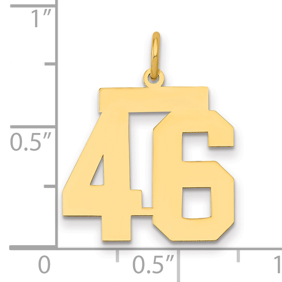 14K Yellow Gold Medium Polished Number 46 Charm