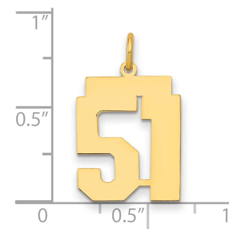 14K Yellow Gold Medium Polished Number 51 Charm