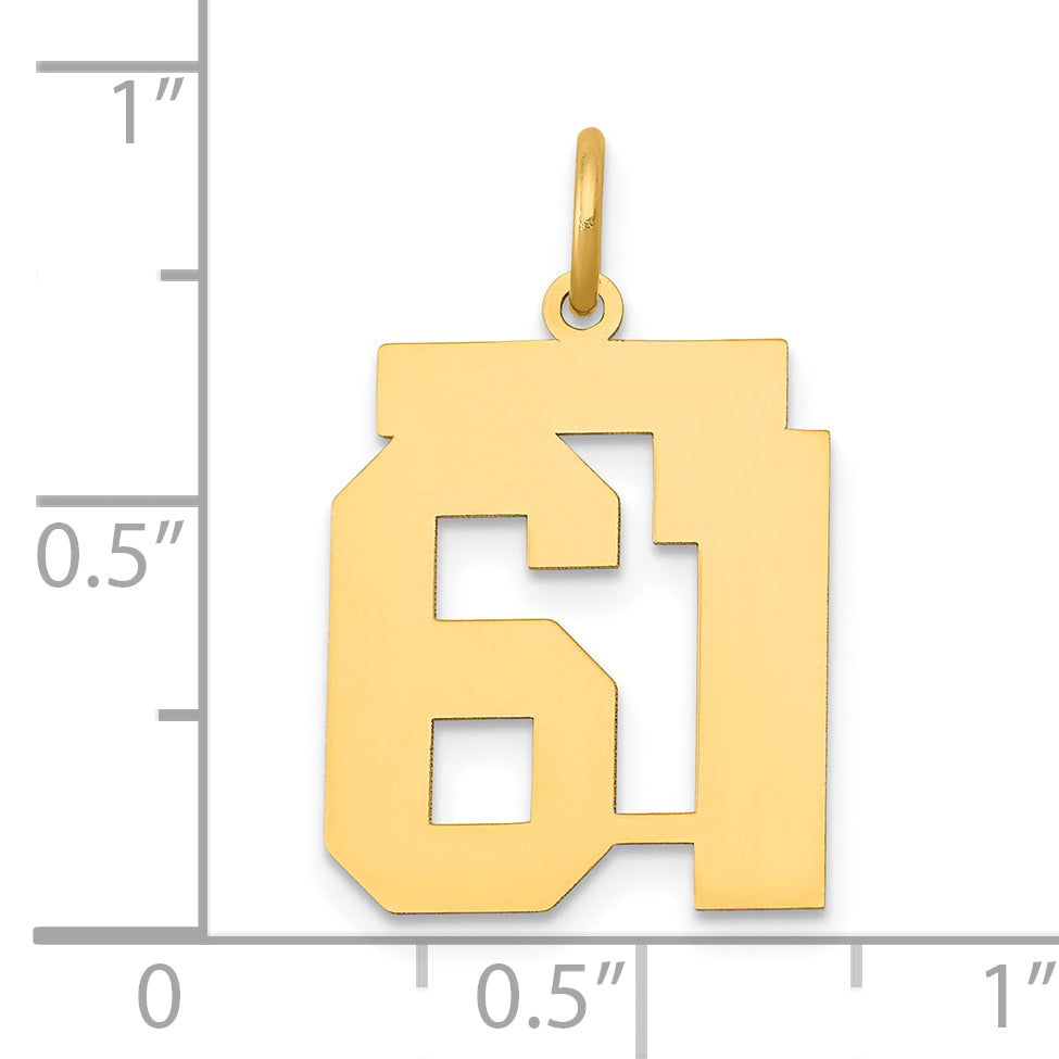 14k Yellow Gold 14k Medium Polished Number 61 Charm