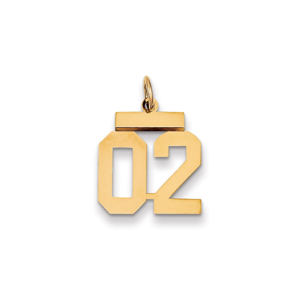 14K Yellow Gold Small Polished Number 2 Top