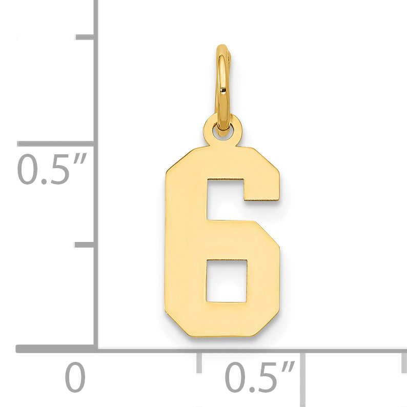 14k Yellow Gold 14k Small Polished Number 6 Charm