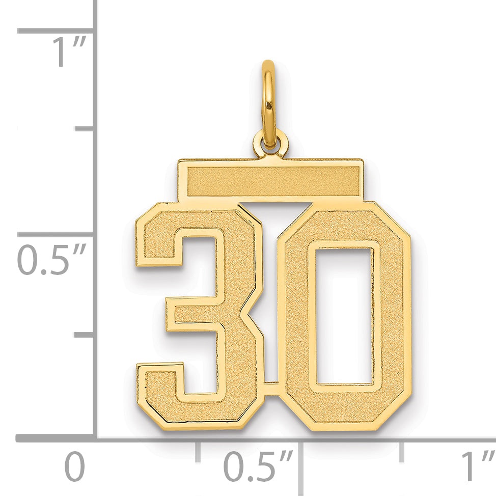 14K Yellow Gold Medium Satin Number 30 Charm