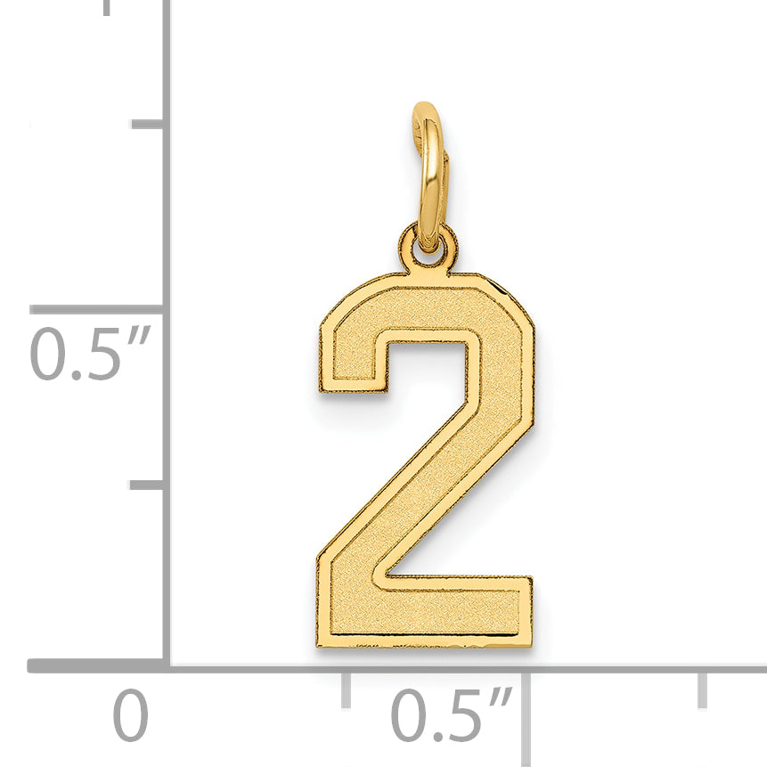 14k Yellow Gold 14k Small Satin Number 2 Charm