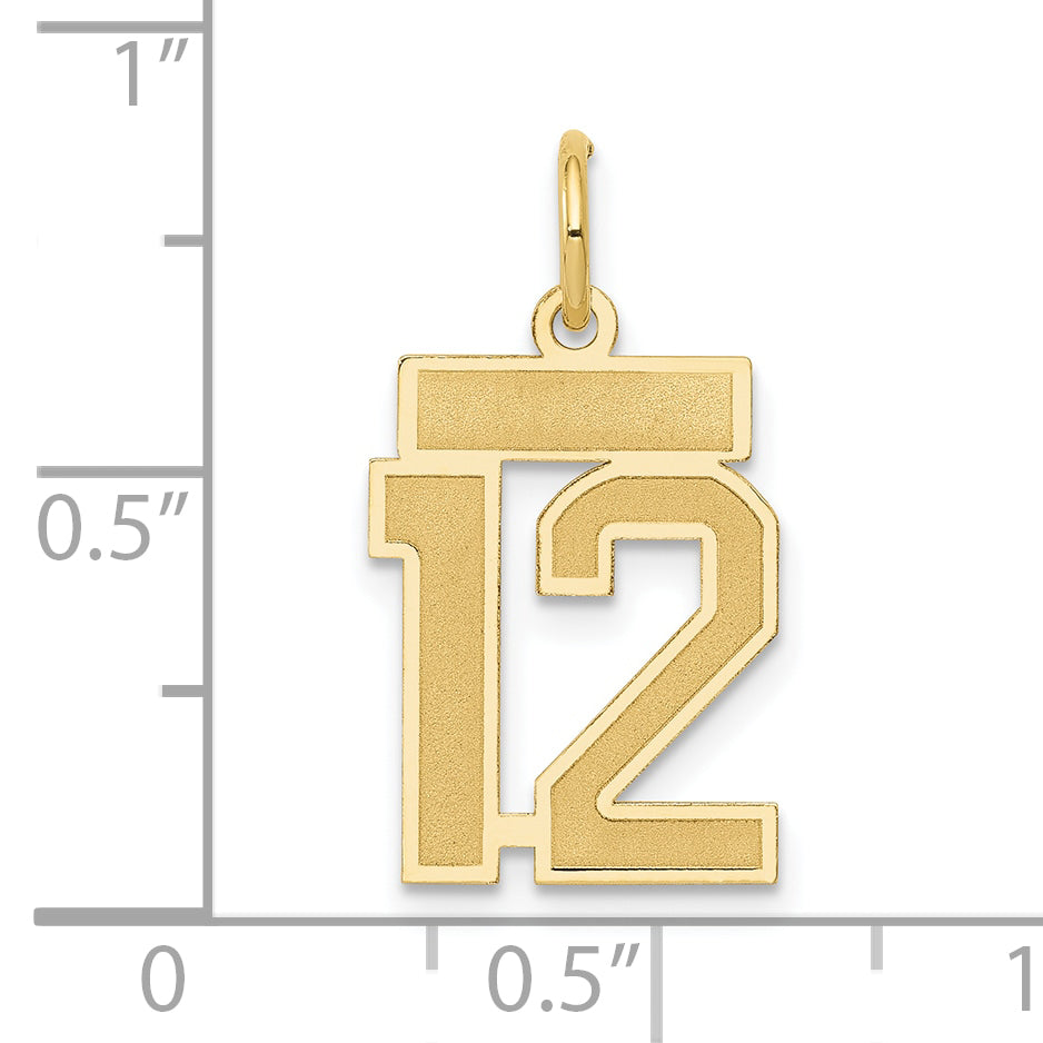 14k Yellow Gold 14k Small Satin Number 12 Charm