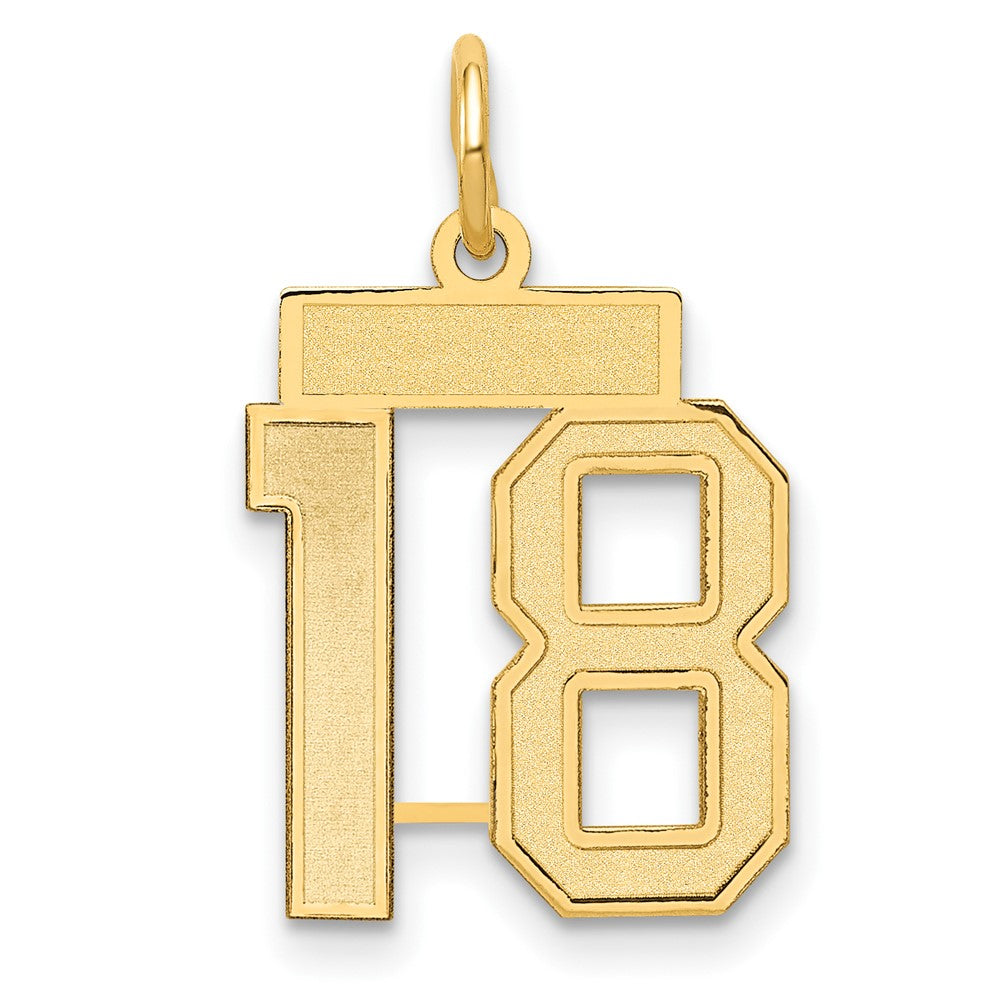 14K Yellow Gold Small Satin Number 18 Charm