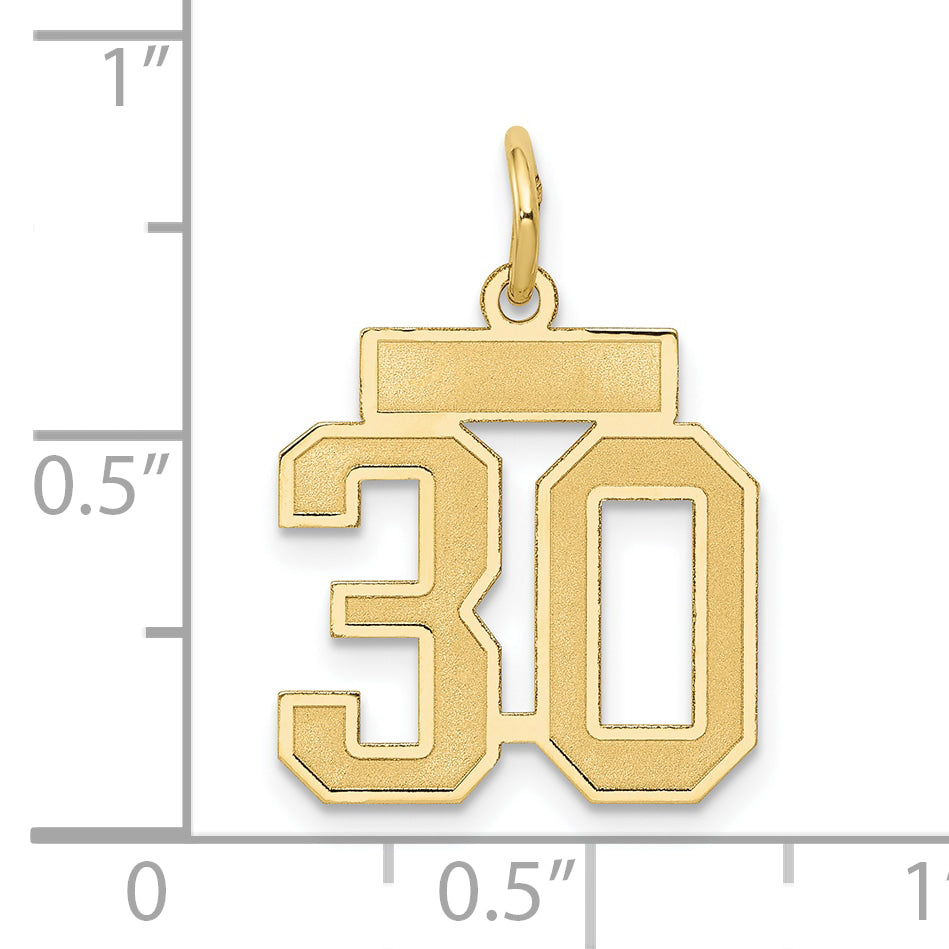 14k Yellow Gold 14k Small Satin Number 30 Charm