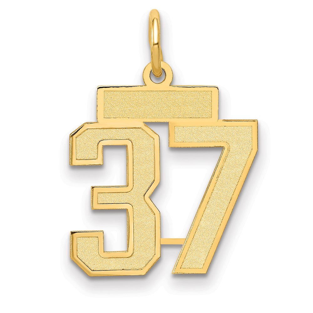14K Yellow Gold Small Satin Number 37 Charm