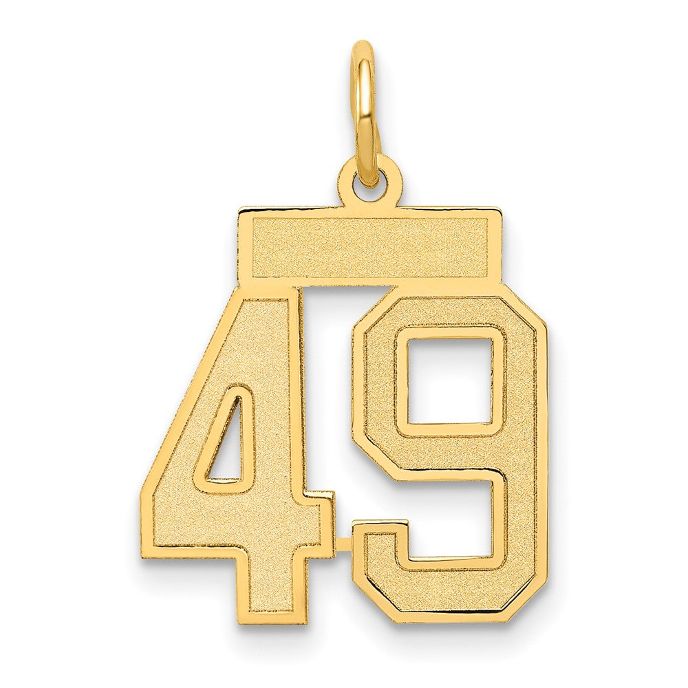 14K Yellow Gold Small Satin Number 49 Charm