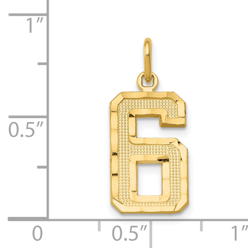 14K Yellow Gold Medium Diamond-Cut Number 6 Charm