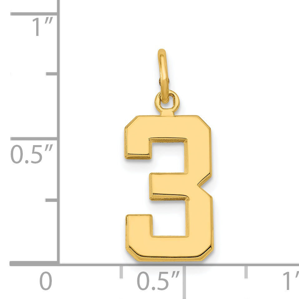 14K Yellow Gold Medium Polished Number 3 Charm