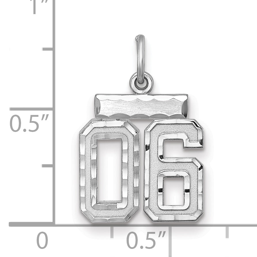 Sterling Silver Rhodium-Plated Small Diamond-Cut #06 Charm