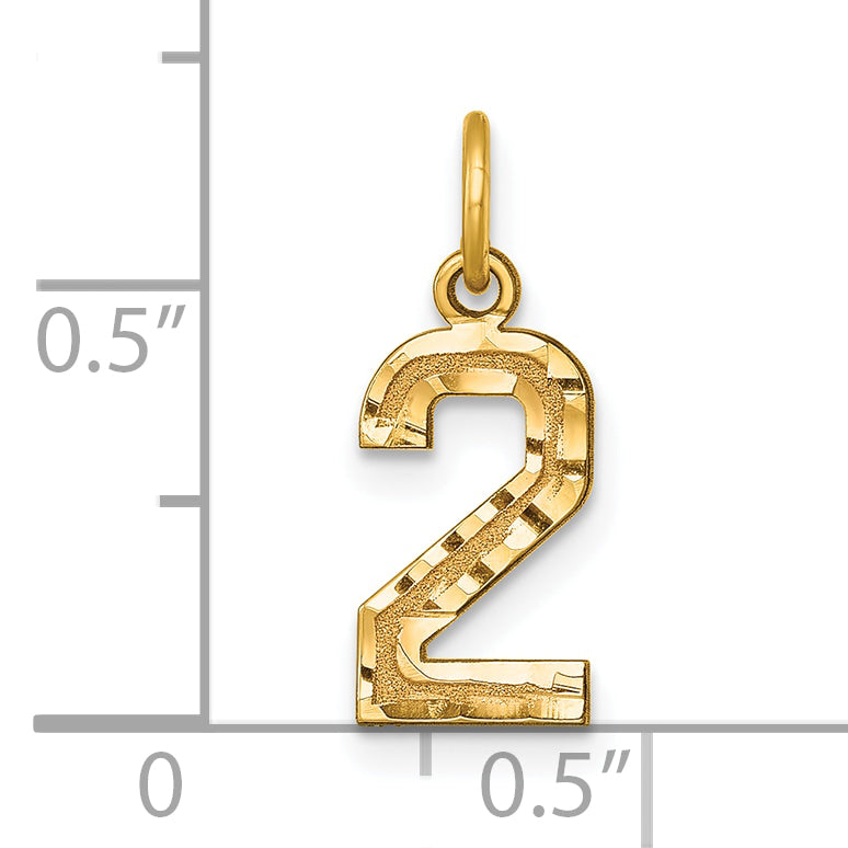 14K Yellow Gold Small Brushed Diamond-Cut Number 2 Charm
