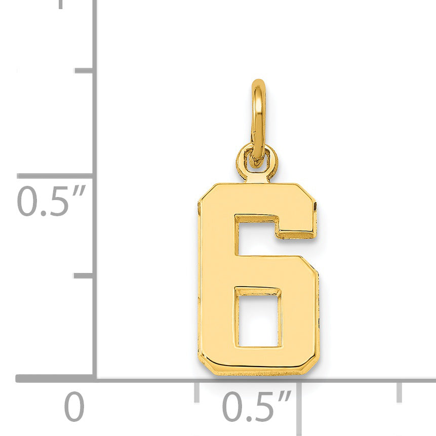 14K Yellow Gold Small Polished Number 6 Charm
