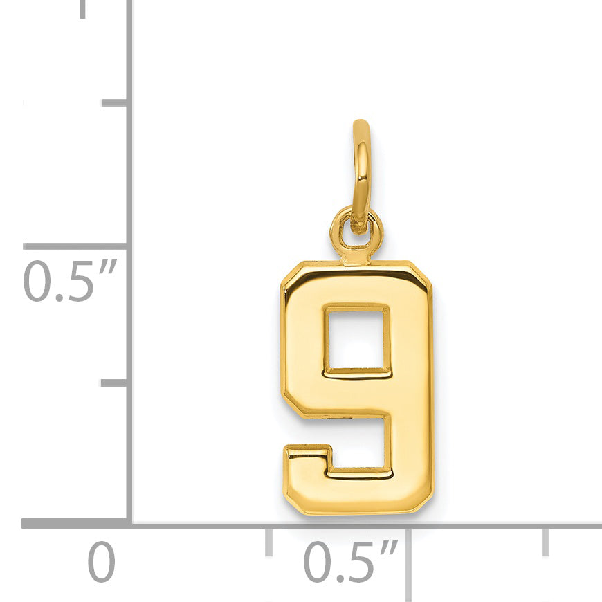 14K Yellow Gold Small Polished Number 9 Charm